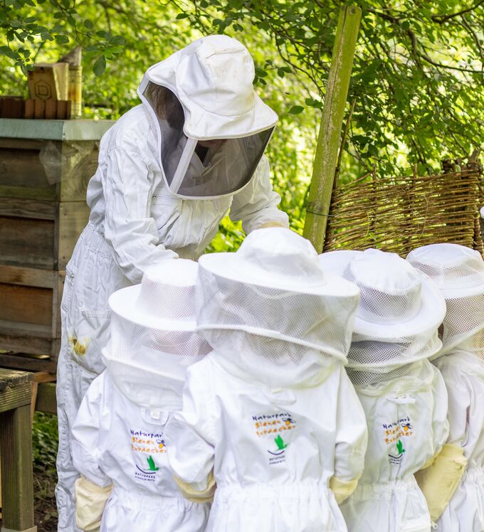 Naturpark Bienen Entdecker_© NPSN Ermecke