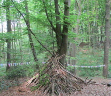 20250618_Waldtage_Wildwiese