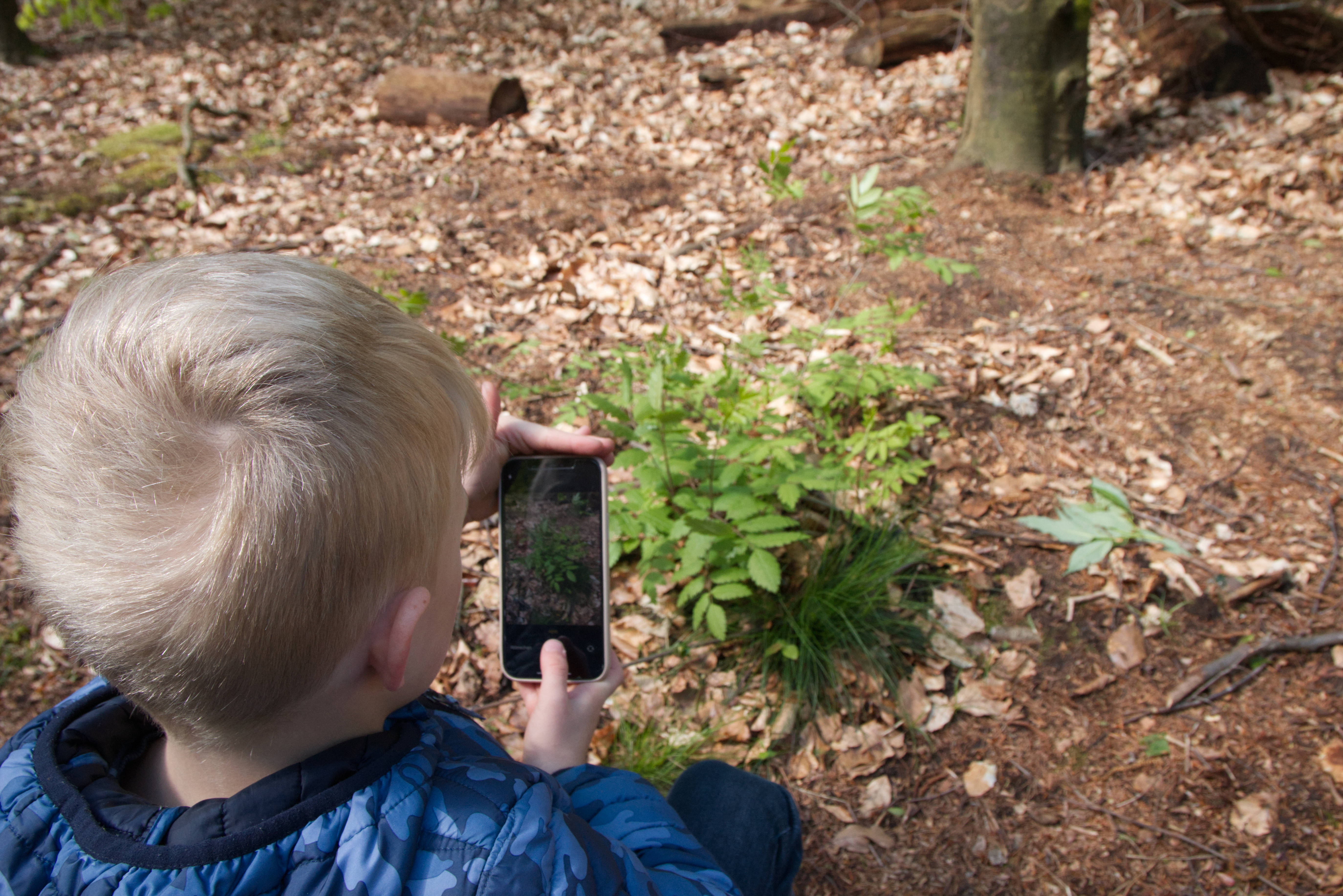 Natur mit dem Smartphone entdecken - © NPSN Linnemann