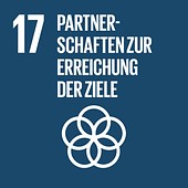 SDG 17