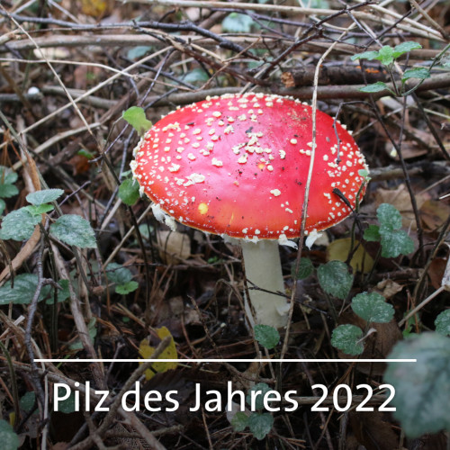 2021_10_15_10_52_35_9 2021_10_15_10_52_35_9